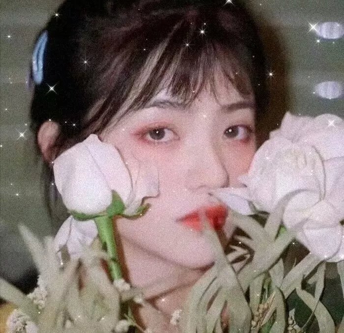 纸相机